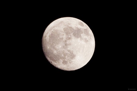 LUNA