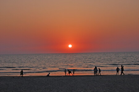 Деревенский крикет