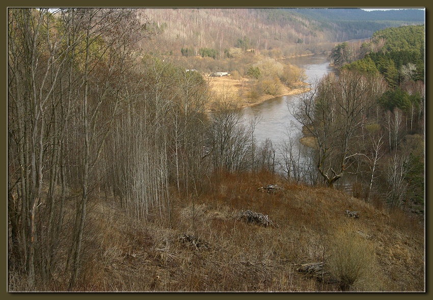 Панерис