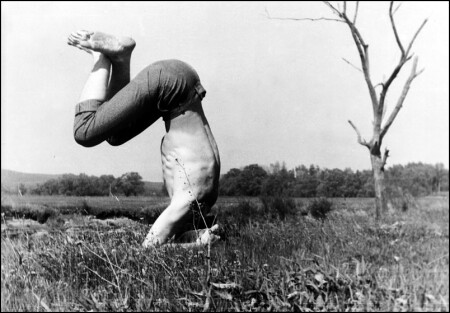 Дикорастущий