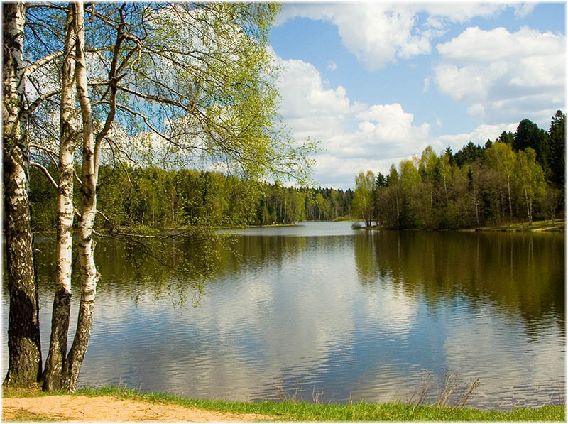 Лесное озеро