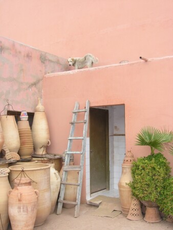 Ничего себе....сходил за хлебушком