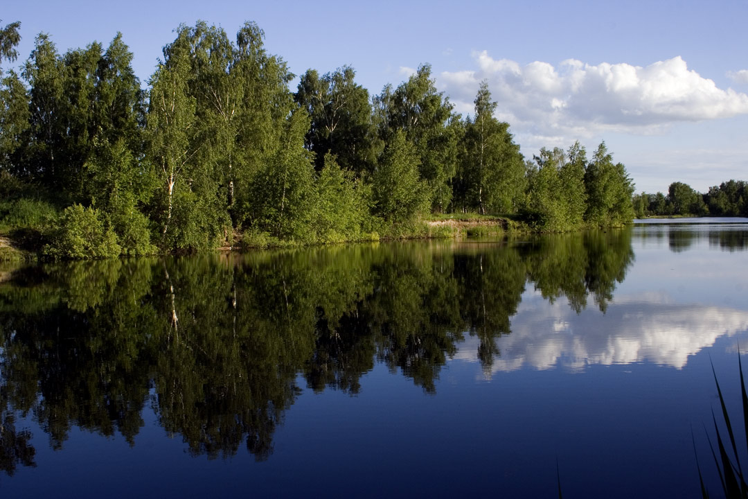 лесное озеро