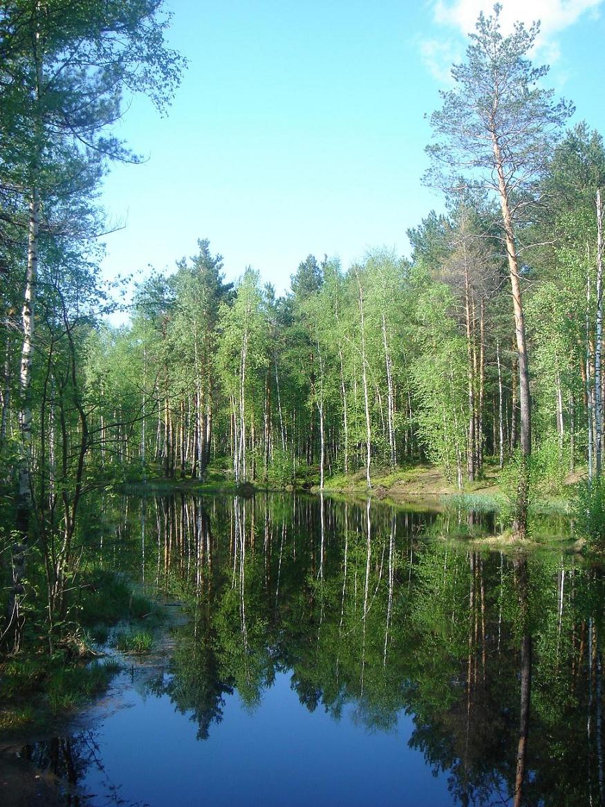 Лето