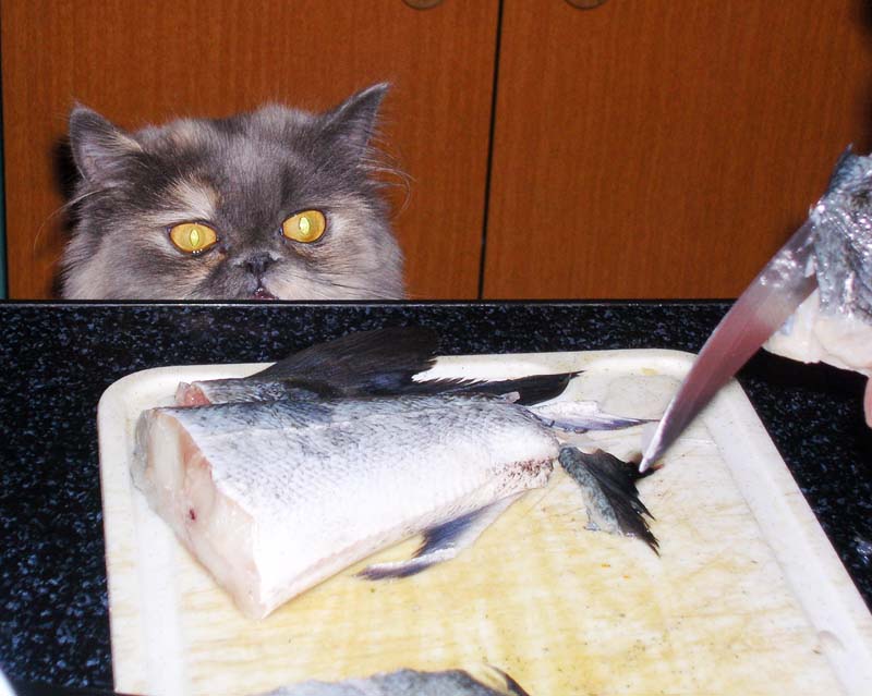 Спереть бы кусочек, да происхождение не позволяет...