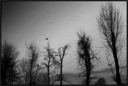 Без названия