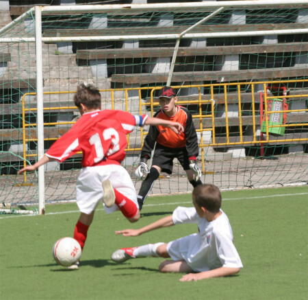 Увлечение или судьба?