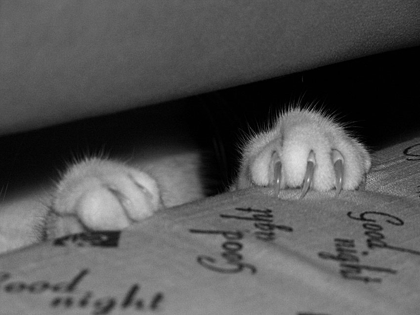 good night