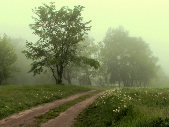 Утро туманное