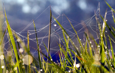 раннее утро