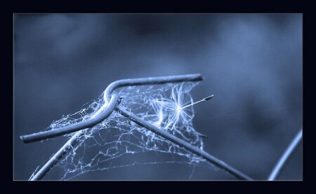 лететь..летать...