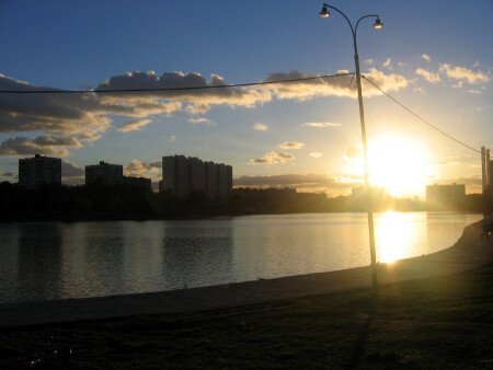 крик солнца