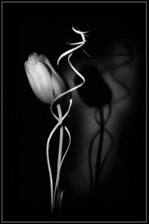 Задумчивость