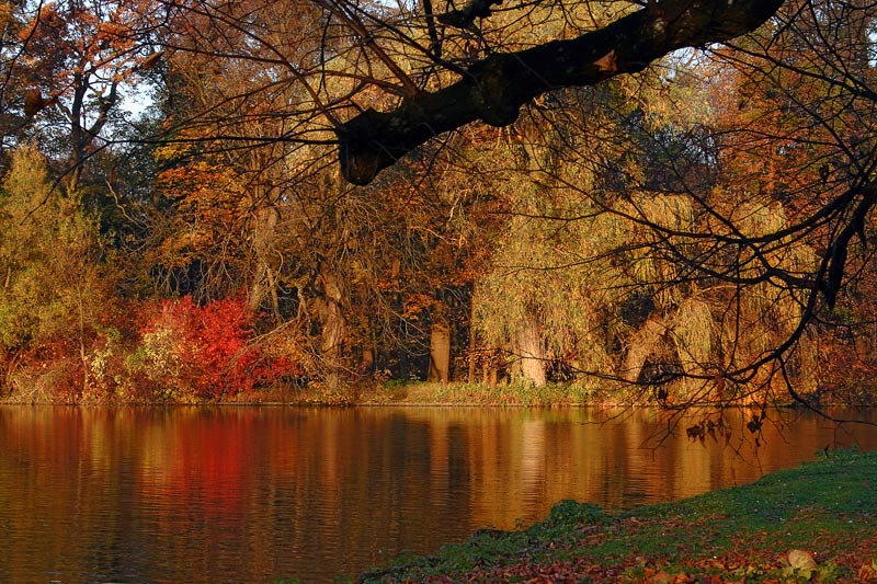 Палитра осени