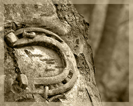 Прикованное Счастье