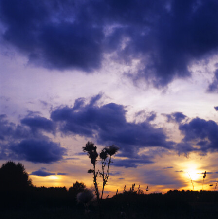 Без названия