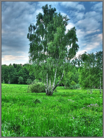 Летний вечер 2