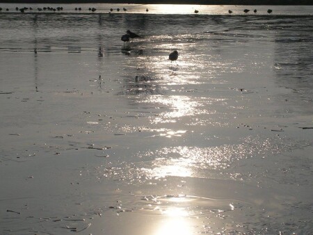 Пристанище