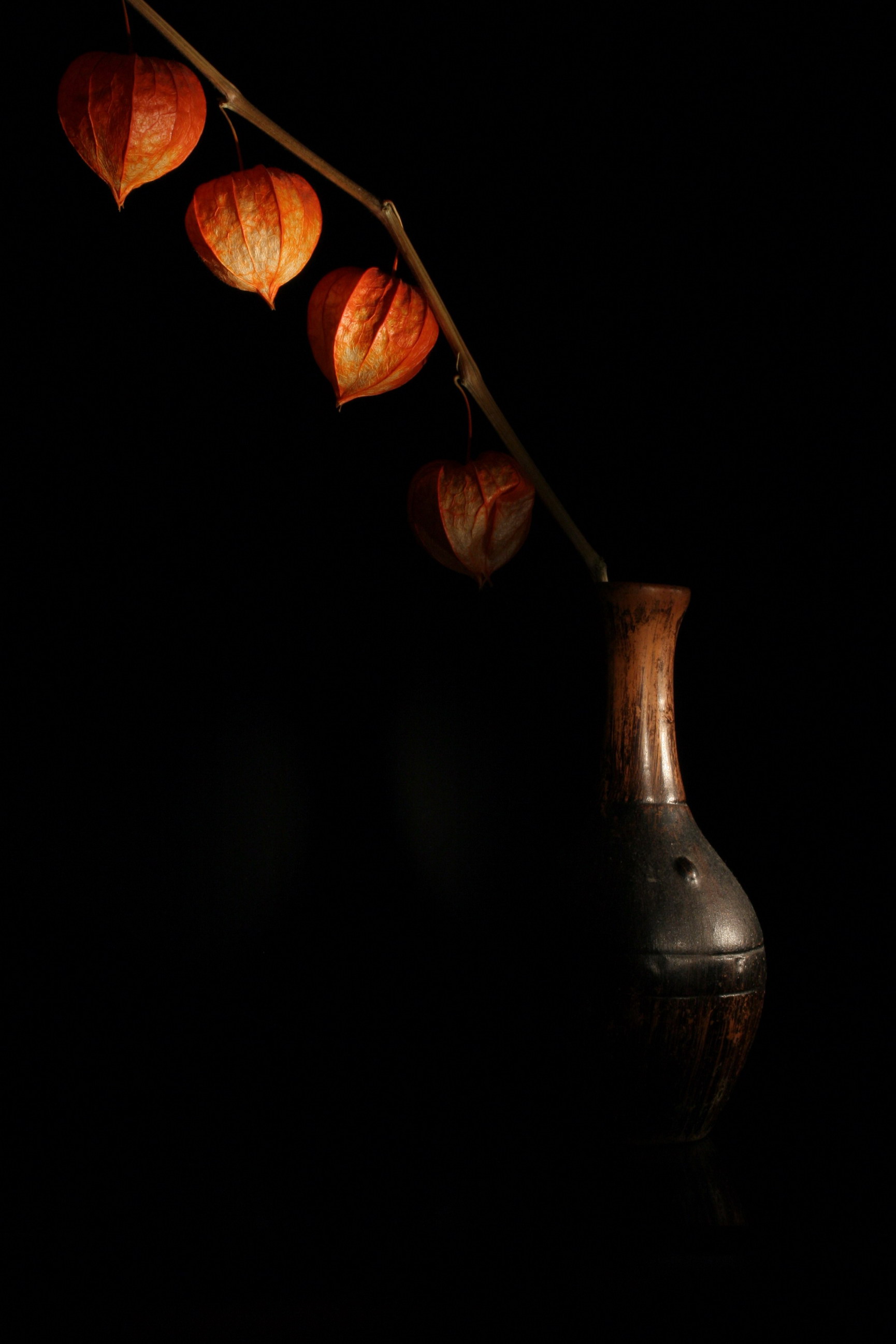 Одинокий физалис