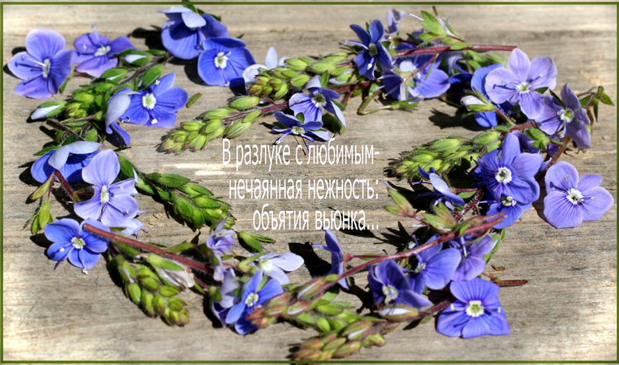 Хокку