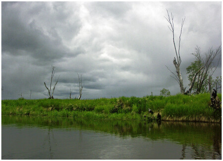 Одинокогрустный фот