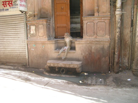 хорошо сидим