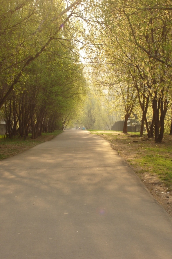 безМЯТЕЖность