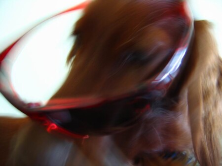 Манерное животное