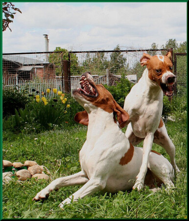 Признание в любви