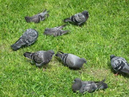 на отдыхе...