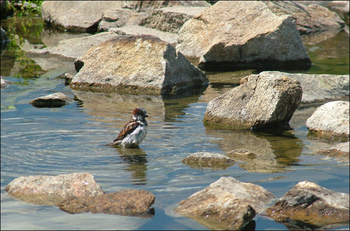 Водные процедуры