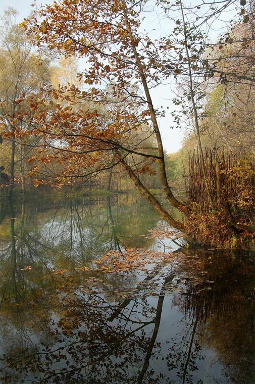 осень
