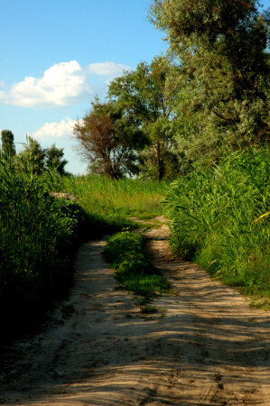 дорога, какая есть)