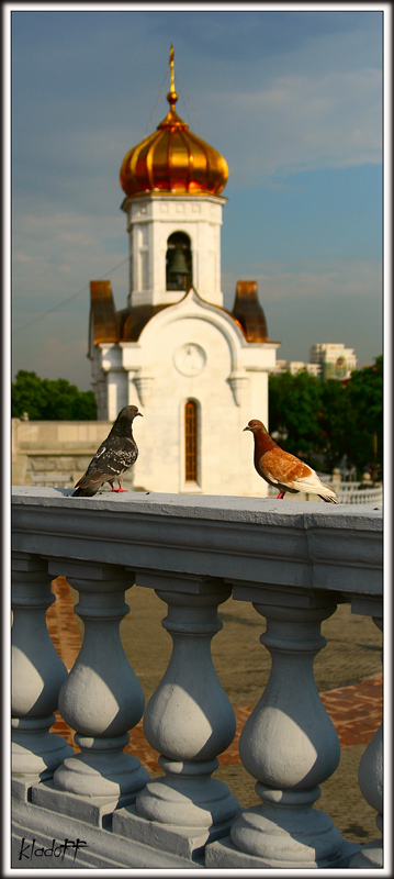 Встреча