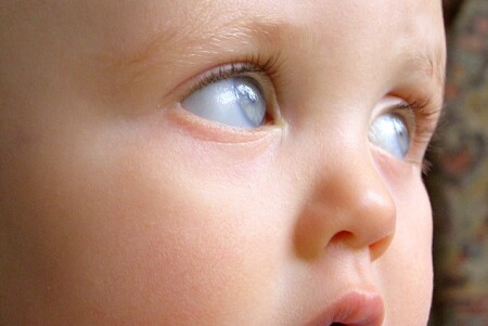 Засмотрелся