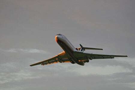 На встречу солнцу