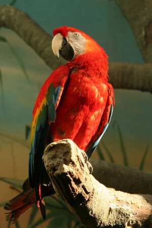 В Московском зоопарке