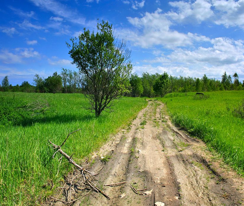 в дорогу...