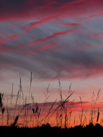 В Вологде-где...