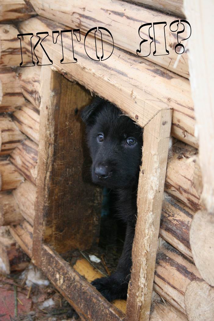 Кто я?
