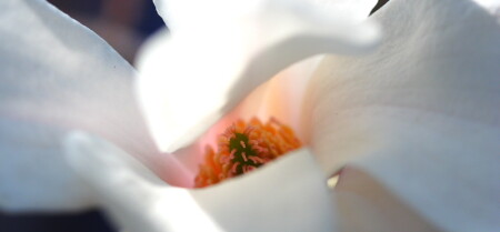 Когда есть что скрывать