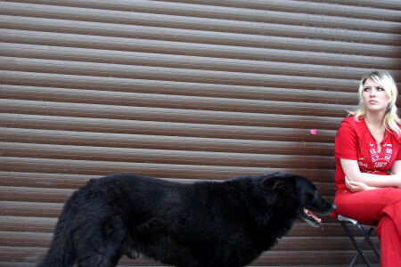 Красное и черное