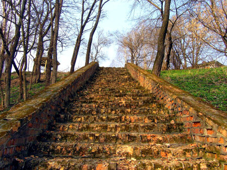 лестница в небо