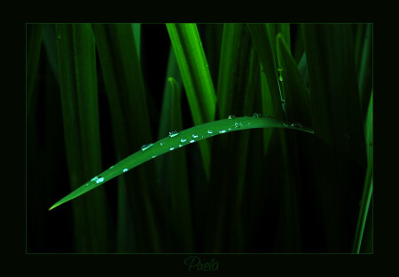 Бриллианты чистой воды или De Beers &amp;quot;отдыхает&amp;quot;