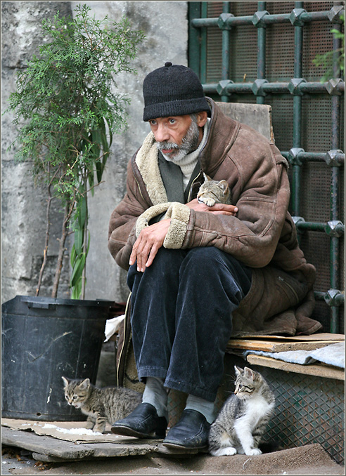 Князь кошачий...