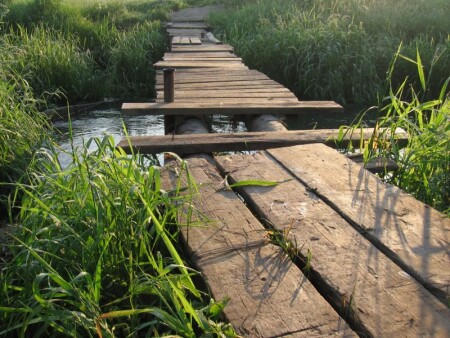 Без названия #1 