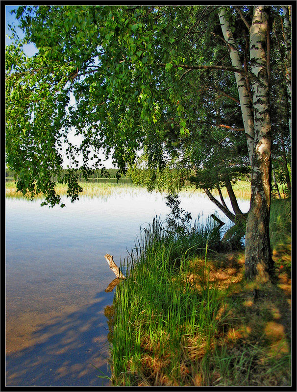 у воды