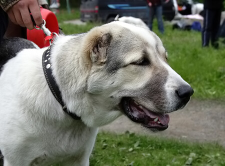 На выставке