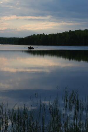 Равновесие