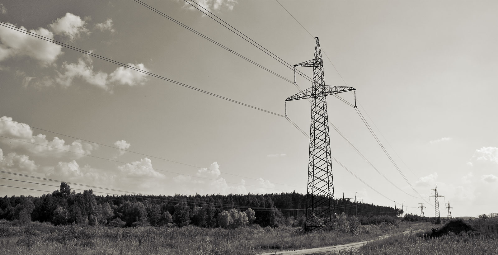 Урбанизация